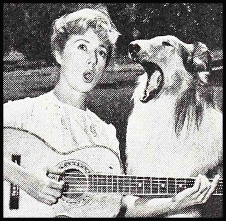 Aram Avakian Vintage Paparazzi