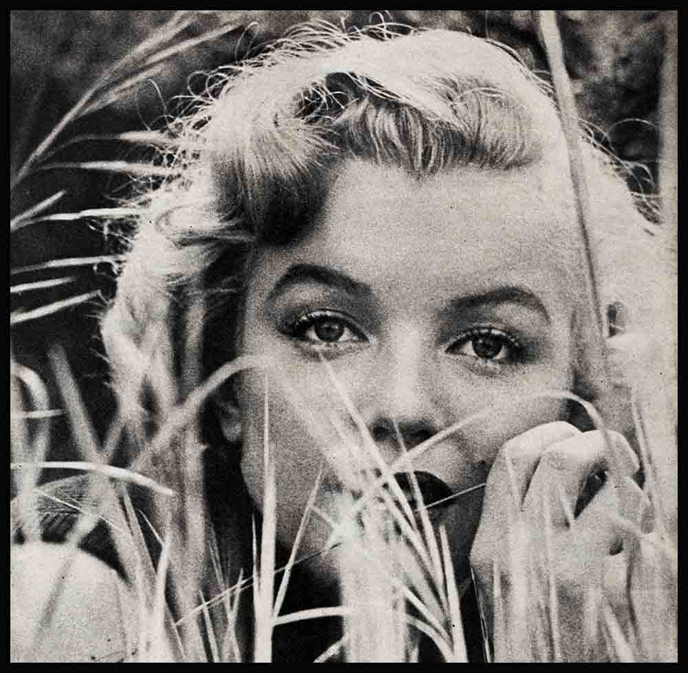 Marilyn Monroe Was My Wife - Vintage Paparazzi